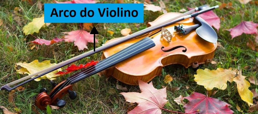 como tocar violino